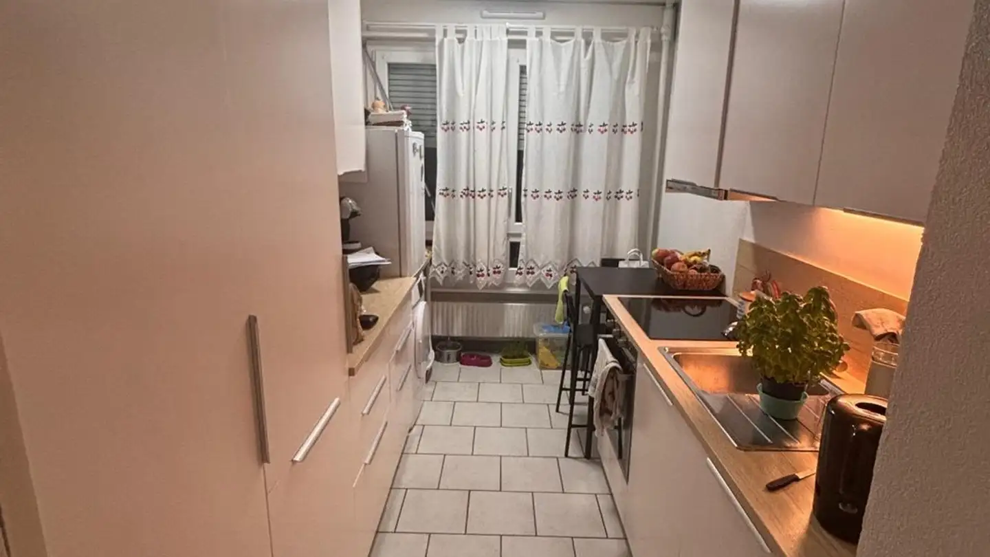 Appartamento in affitto - Avenue Du Bois-De-La-Chapelle, 1213 Onex - Photo 3