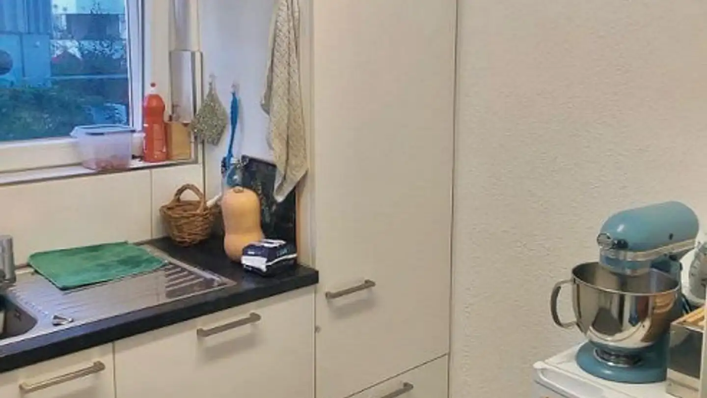 Wohnung mieten - Wehntalerstrasse 48, 8057 Zürich - Foto 4