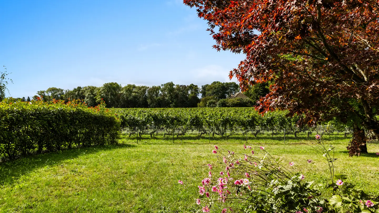 Maison individuelle à vendre - 1291 Commugny