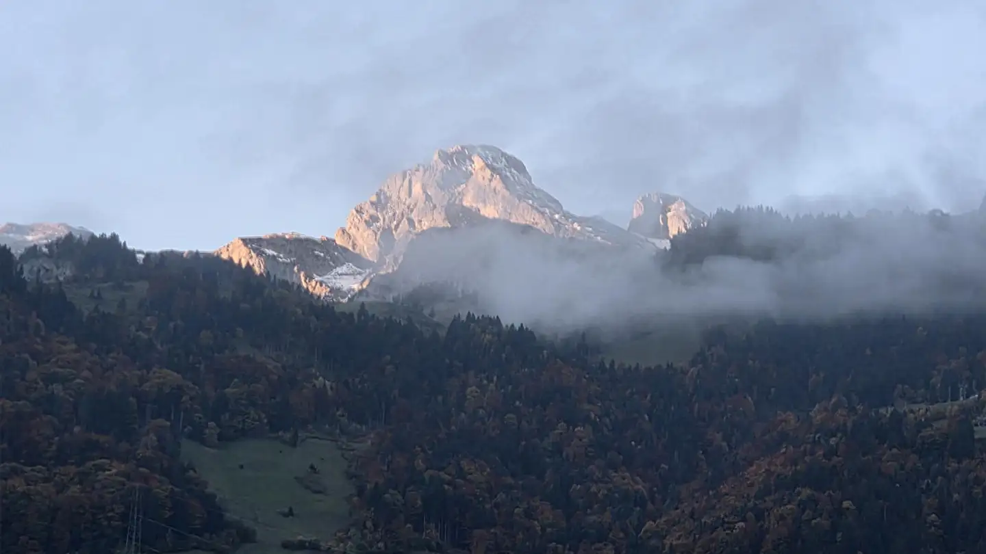 Attique à louer - Jägerweg 9, 6468 Attinghausen - Photo 4