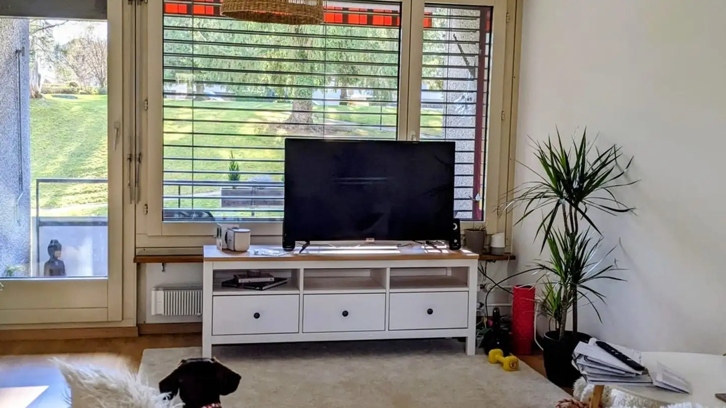 Stanza singola in affitto - 8135 Langnau am Albis - Photo 4