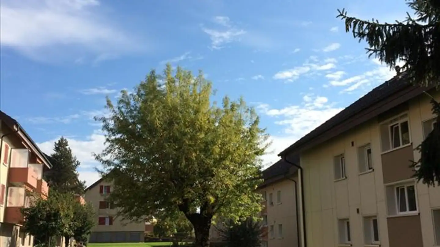 Wohnung mieten - Talackerweg 21, 3506 Grosshöchstetten - Foto 2