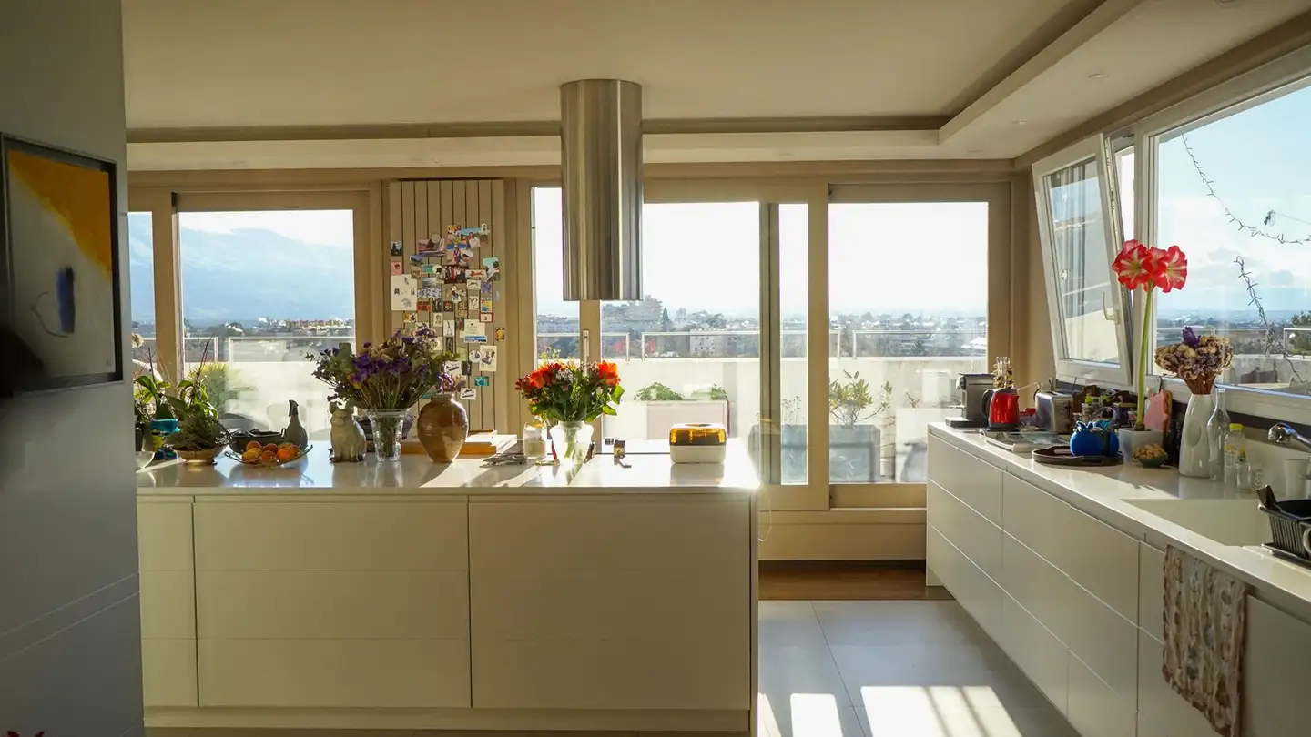 Duplex in vendita - Chemin Des Tulipiers 1, 1208 Genève