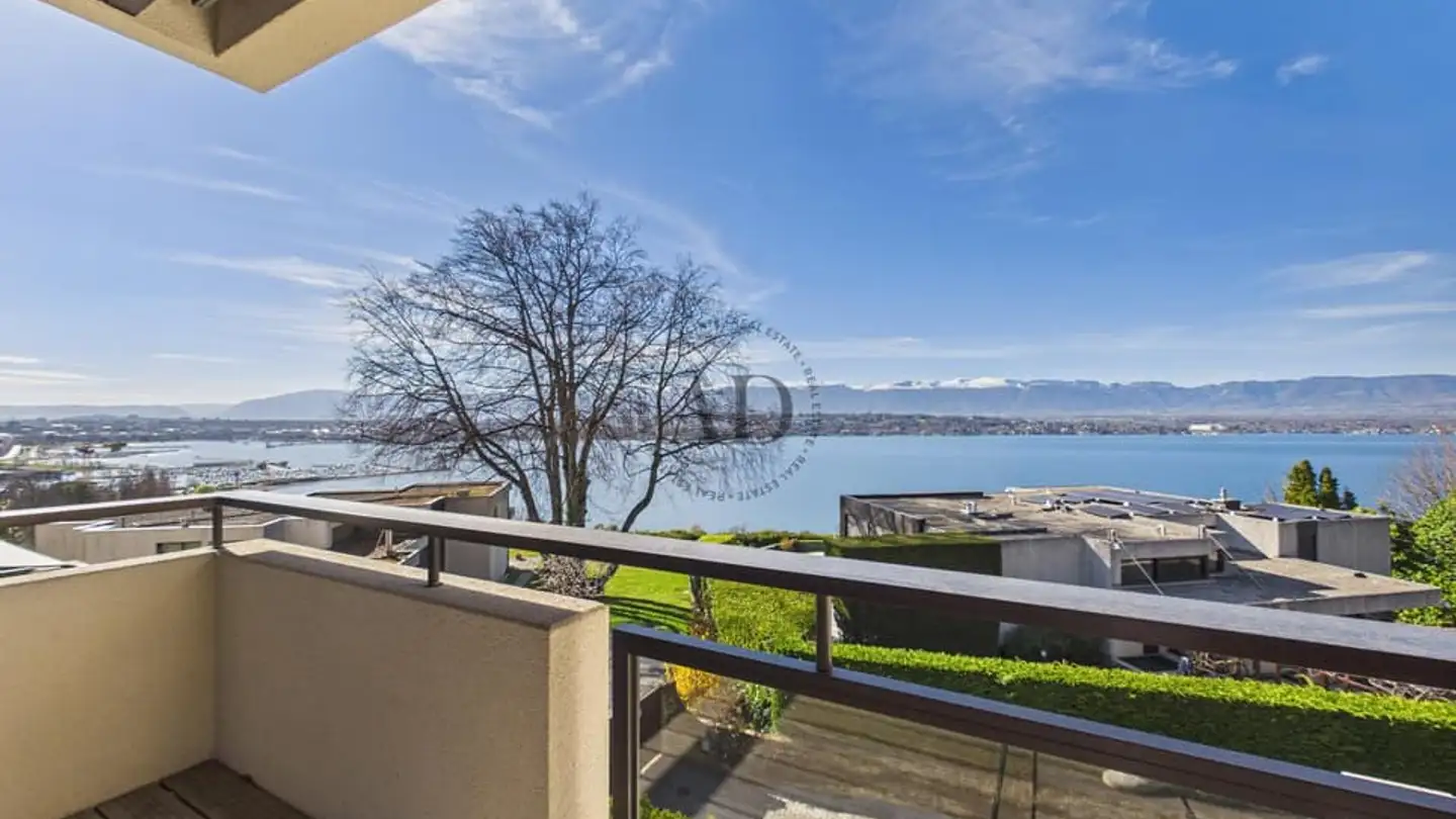 Appartamento in affitto - 1223 Cologny