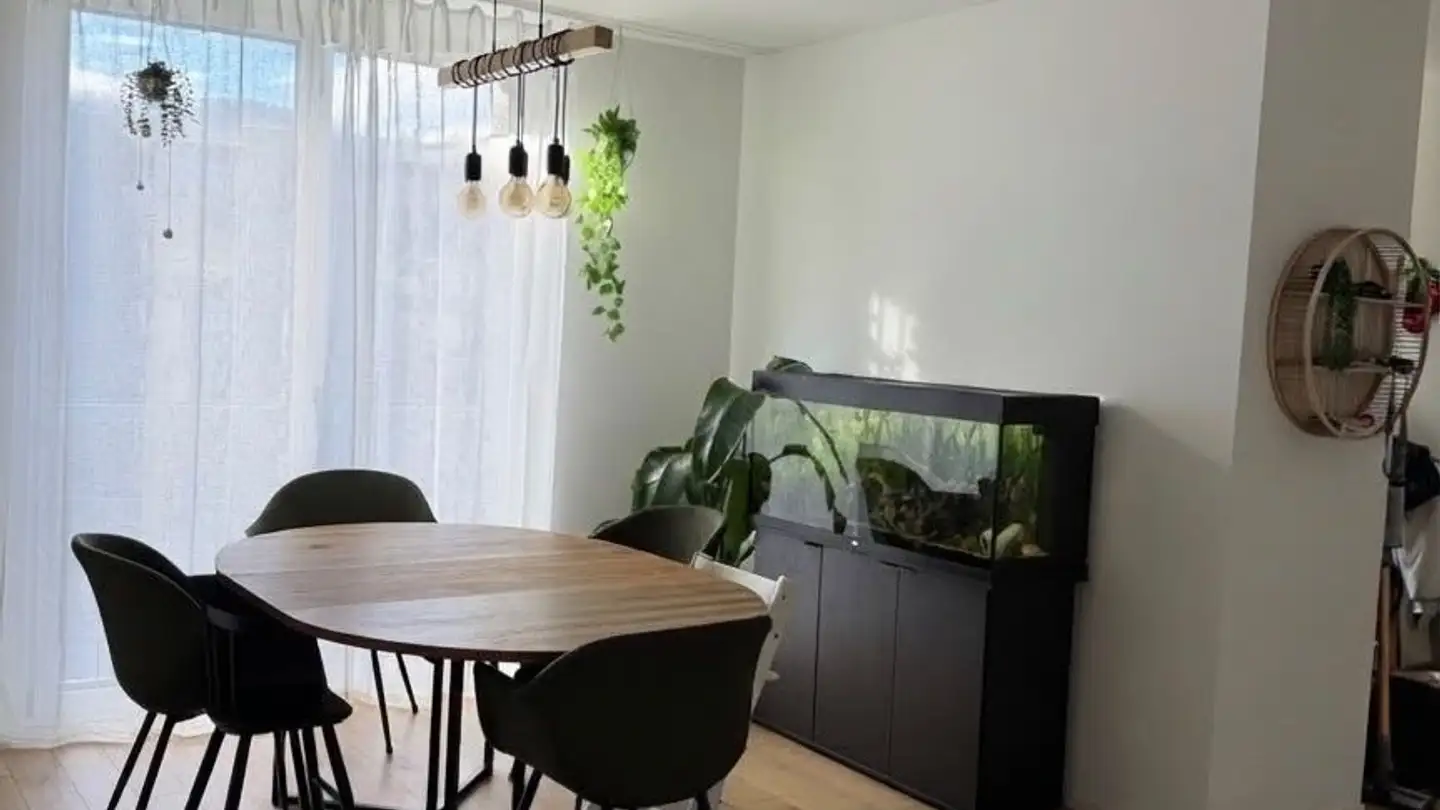 Appartamento in affitto - Parkweg 10, 8134 Adliswil