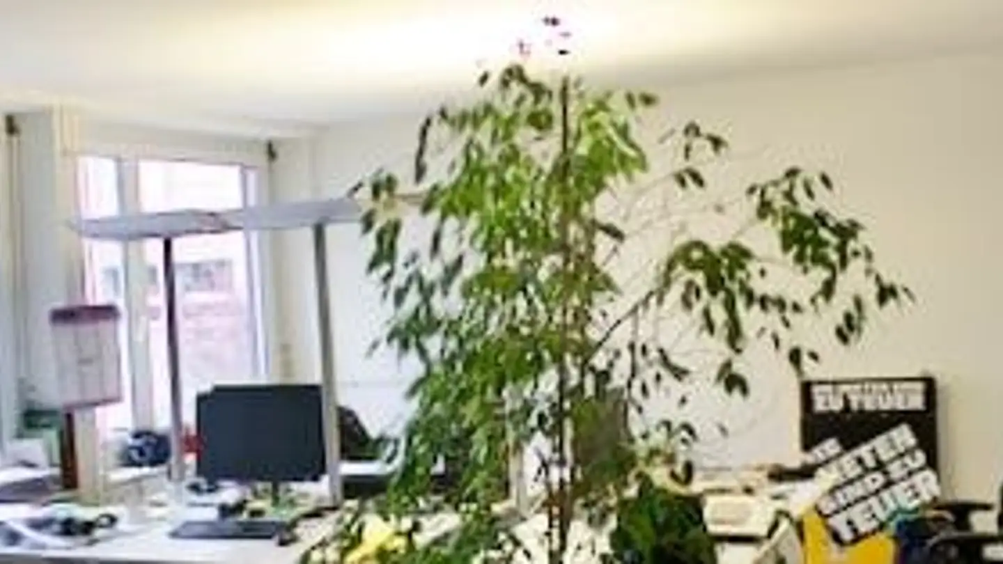 Office space for rent - Tellstrasse 31, 8004 Zürich - Photo 2