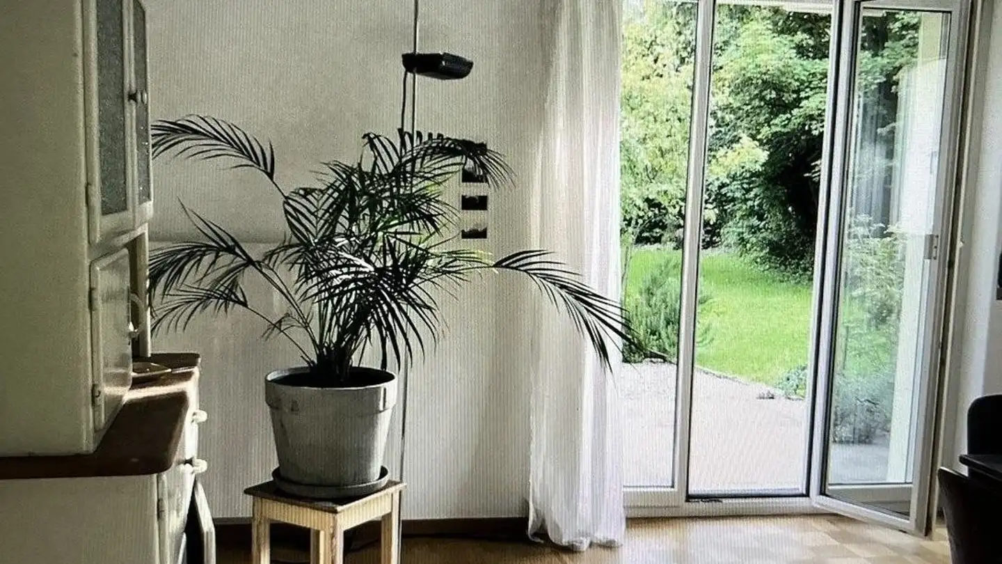 Appartement à louer - 9008 St. Gallen - Photo 3