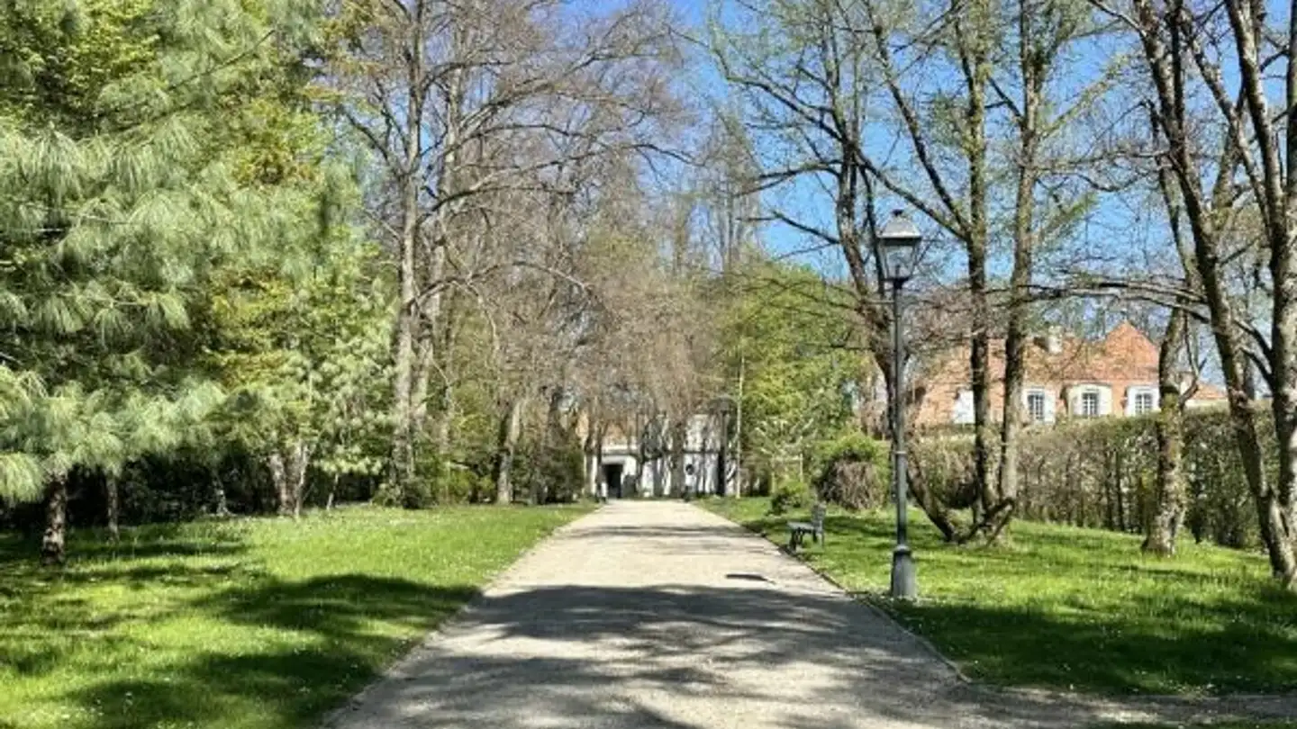 Casa singola in affitto - 1206 Genève - Photo 3