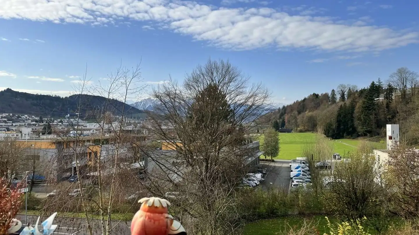 Attique à vendre - Fluhmattstrasse 6, 6033 Buchrain