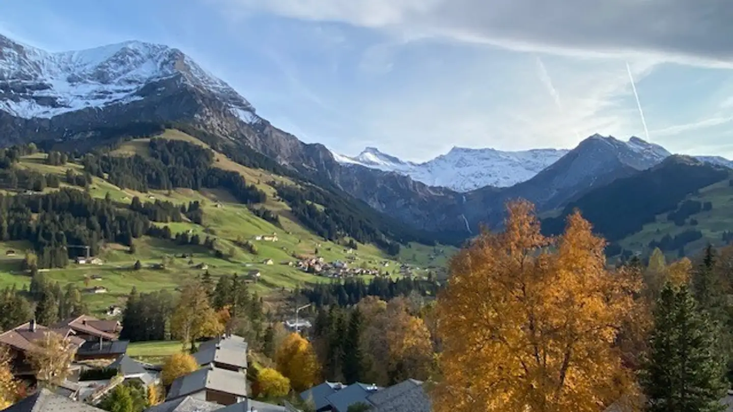 Appartement à vendre - Schlegelistrasse 4, 3715 Adelboden - Photo 2