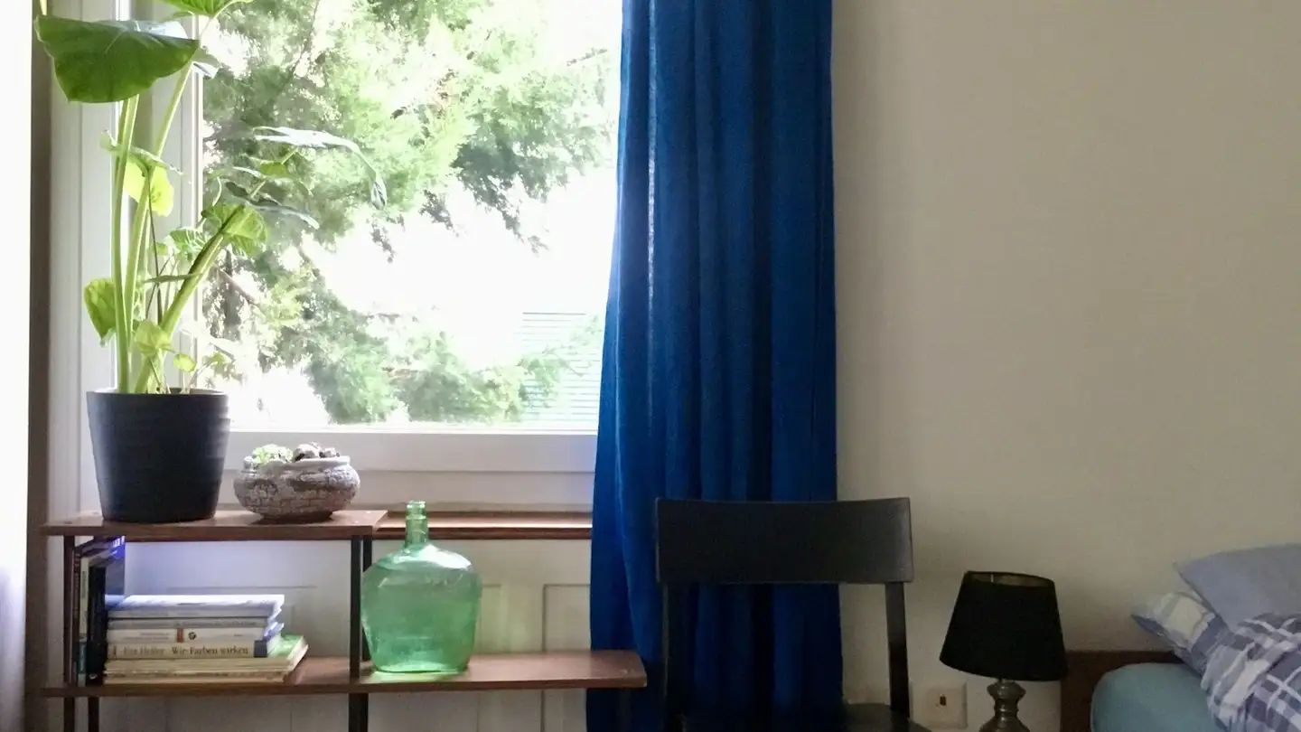 Chambre à louer - Zwiegartenstrasse 18, 8952 Schlieren