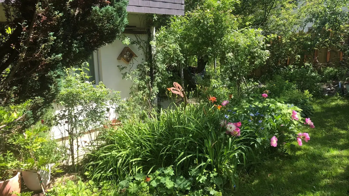 Casa singola in affitto - Erschwilerstrasse 156, 4247 Grindel - Foto 4