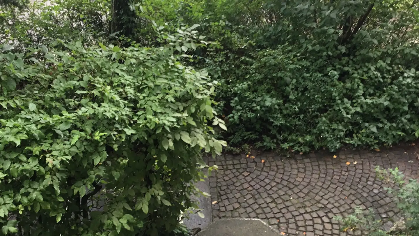 Zimmer mieten - Zwiegartenstrasse 18, 8952 Schlieren