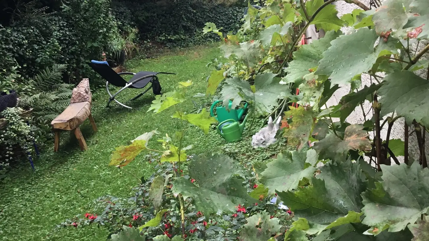 Zimmer mieten - Zwiegartenstrasse 18, 8952 Schlieren - Foto 3