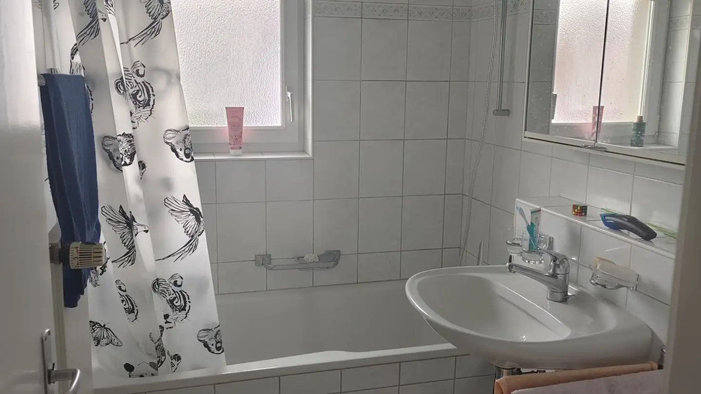 Single room for rent - 8620 Wetzikon ZH - Photo 3