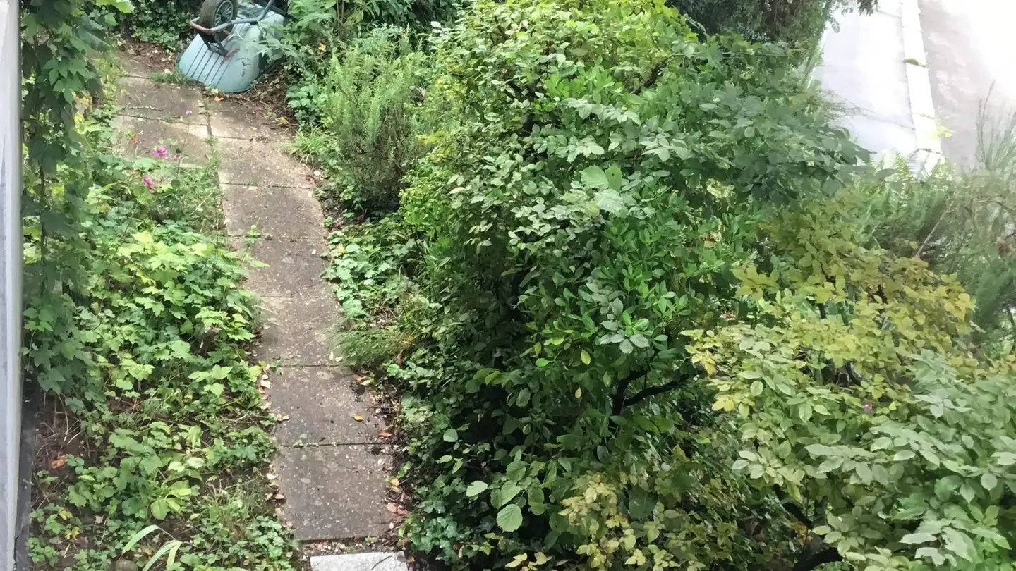 Zimmer mieten - Zwiegartenstrasse 18, 8952 Schlieren - Foto 4