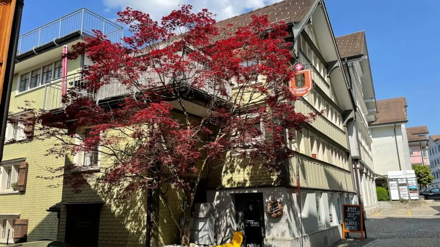 Immeuble résidentiel à vendre - Oberdorfstrasse 33, 9100 Herisau - Photo 2