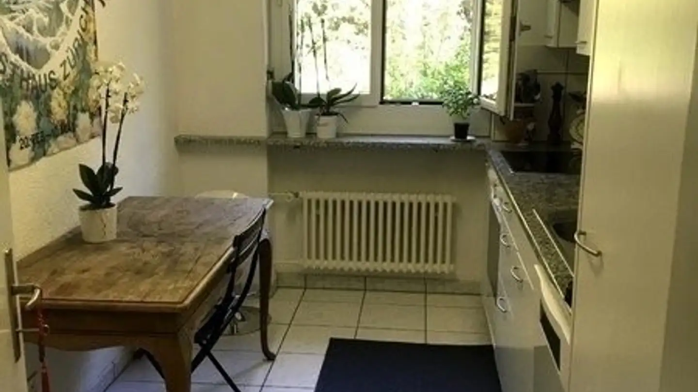 Furnished apartment for rent - 8046 Zürich - Photo 4