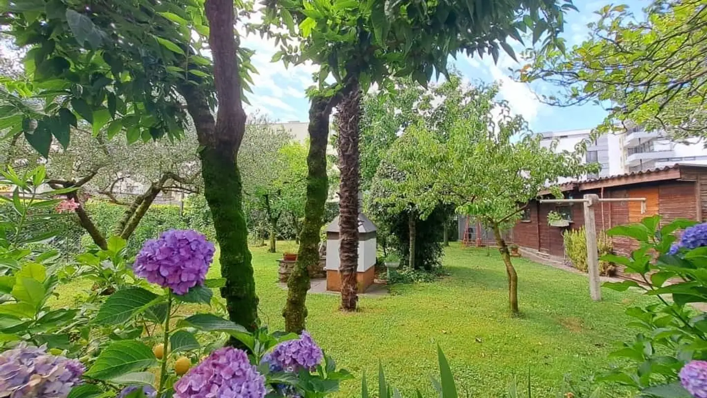 Casa singola in vendita - Viale C. Olgiati 11c, 6512 Giubiasco - Foto 2