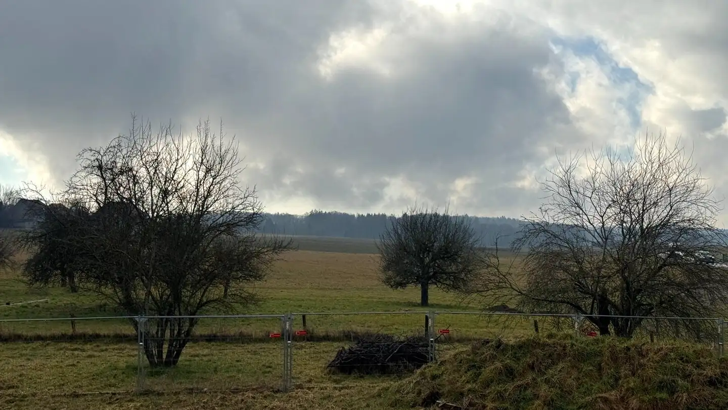 Appartamento in vendita - Route D'yverdon, 1417 Essertines-sur-Yverdon - Foto 3