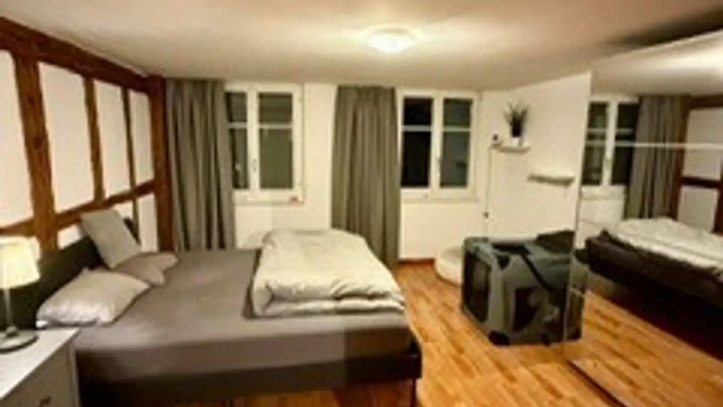 Appartamento in affitto - Wachtgasse 1, 8134 Adliswil - Foto 4