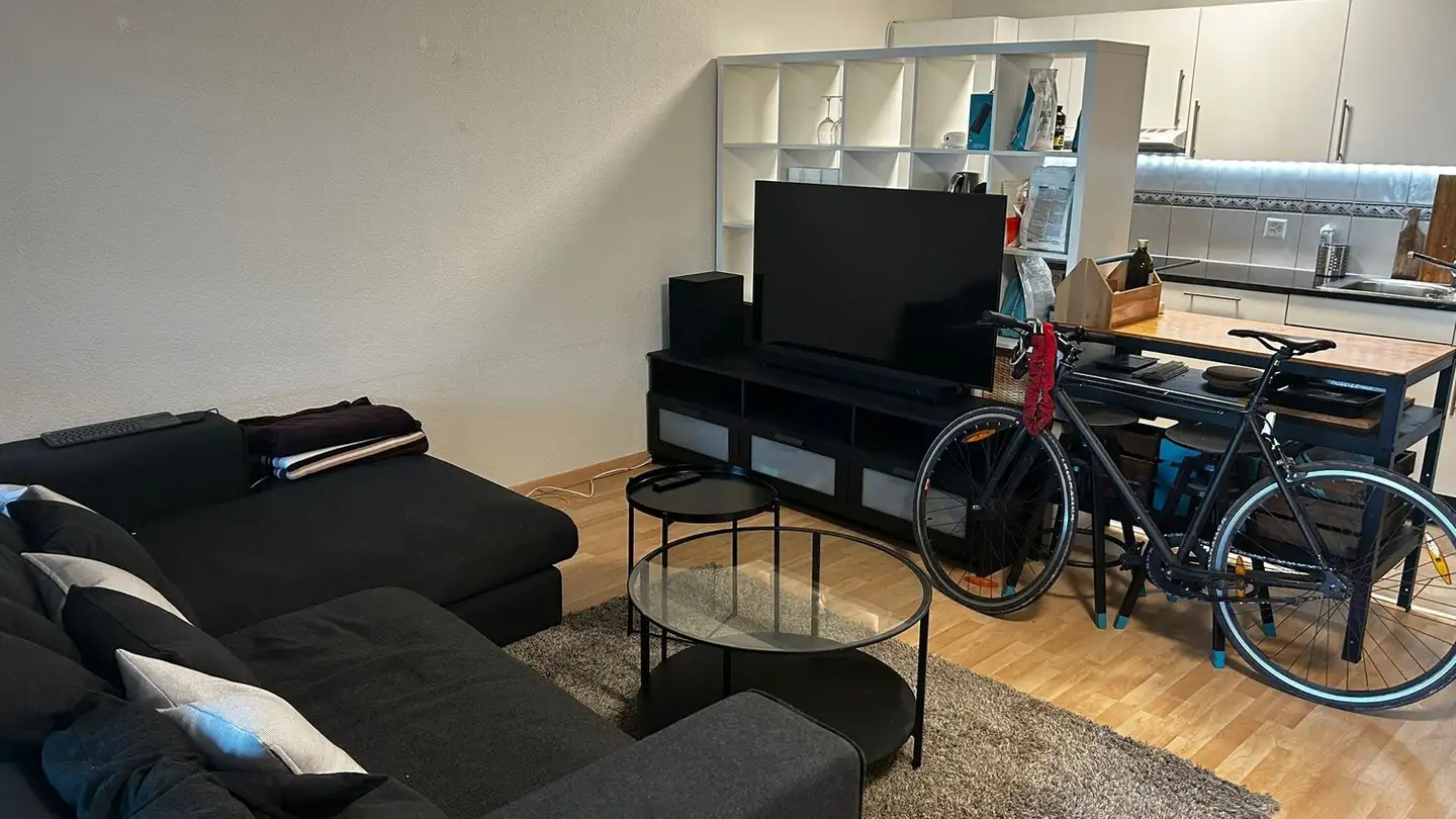 Apartment for rent - Unterwerkstrasse 7, 8052 Zürich - Photo 2