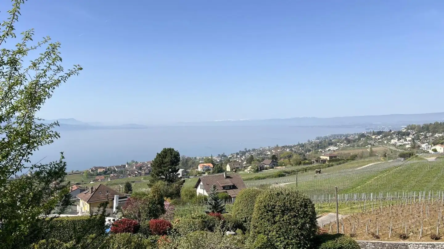 Einfamilienhaus mieten - Route Du Bras-De-Fer 89, 1095 Lutry - Foto 3