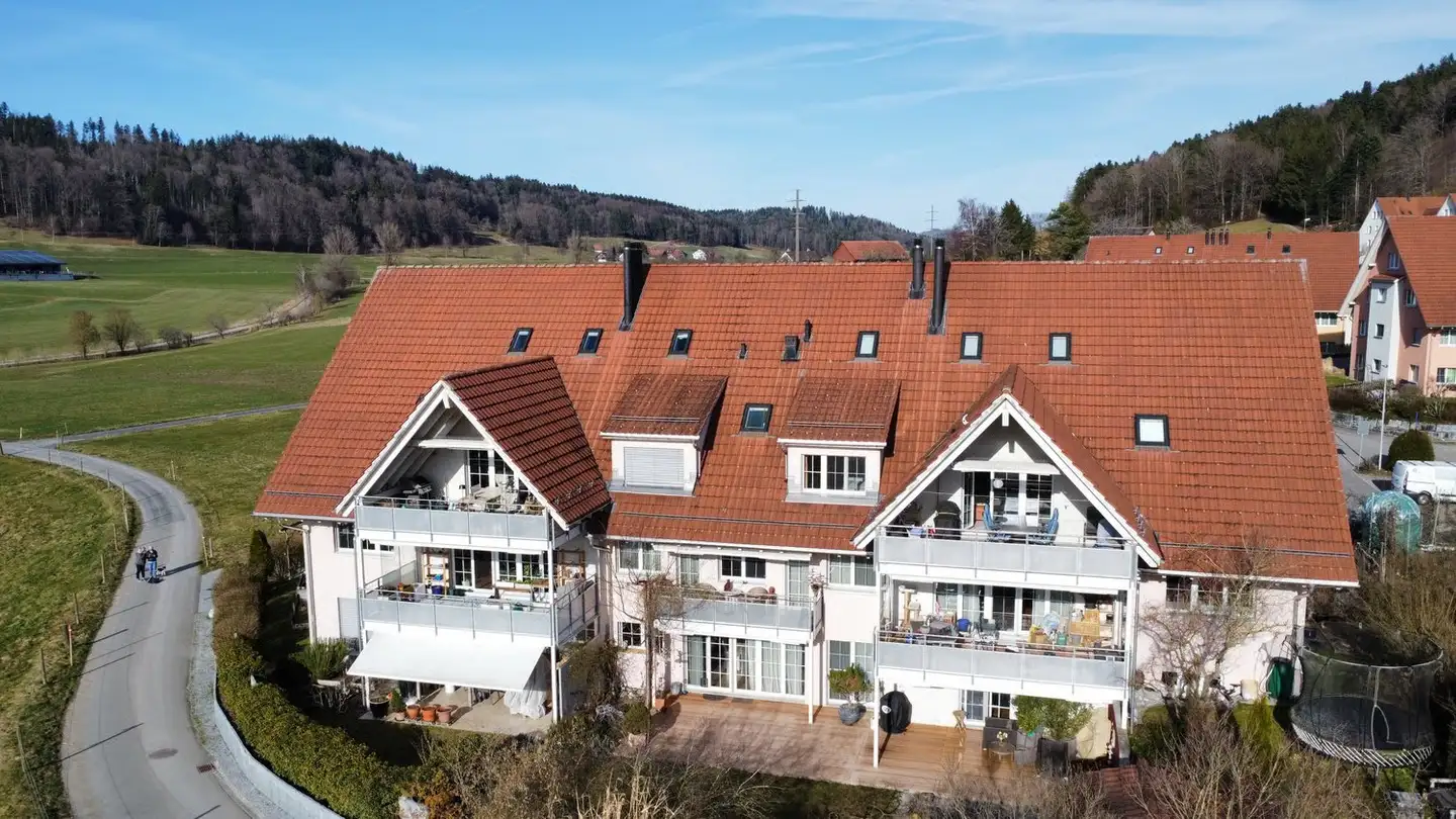 Duplex à vendre - Im Wiesegrund 10, 8335 Hittnau