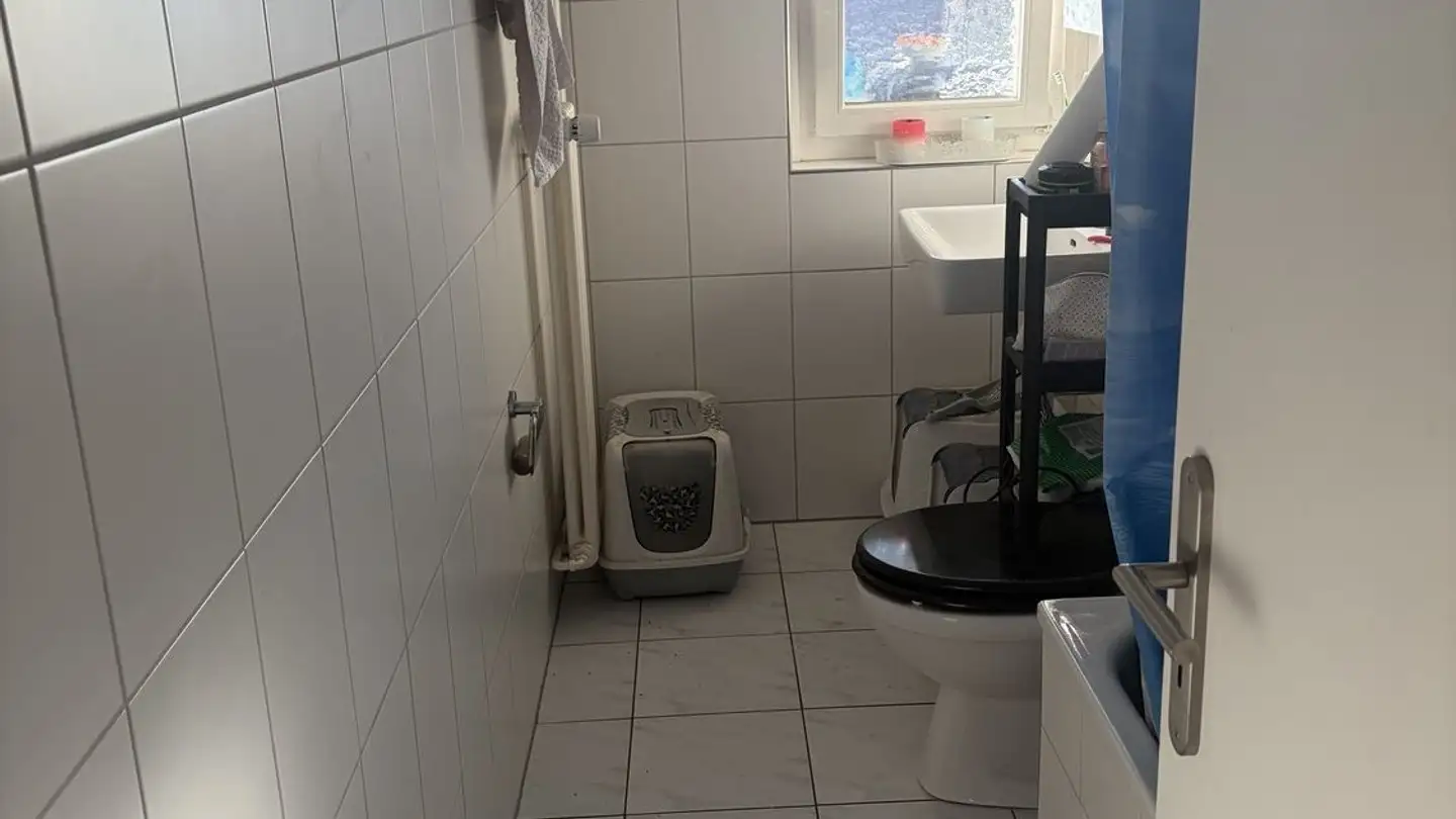 Appartement à louer - Illnauerstrasse 21, 8307 Effretikon - Photo 2