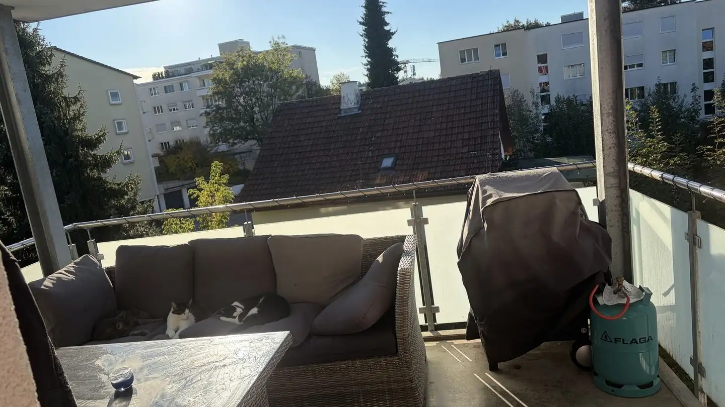 Appartement à louer - Illnauerstrasse 21, 8307 Effretikon - Photo 3