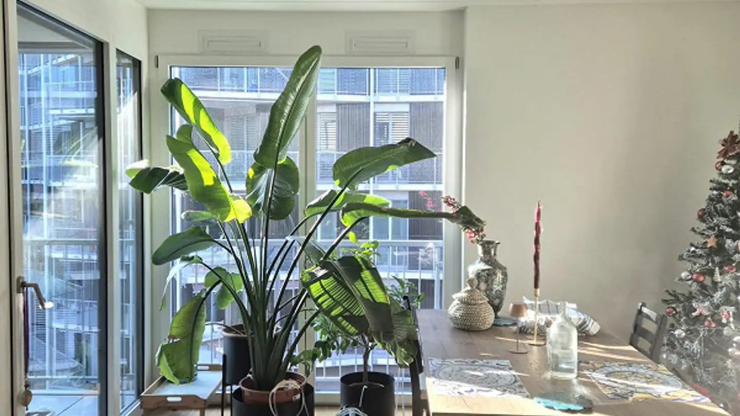 Appartement à louer - Austrasse 46, 8045 Zürich - Photo 2