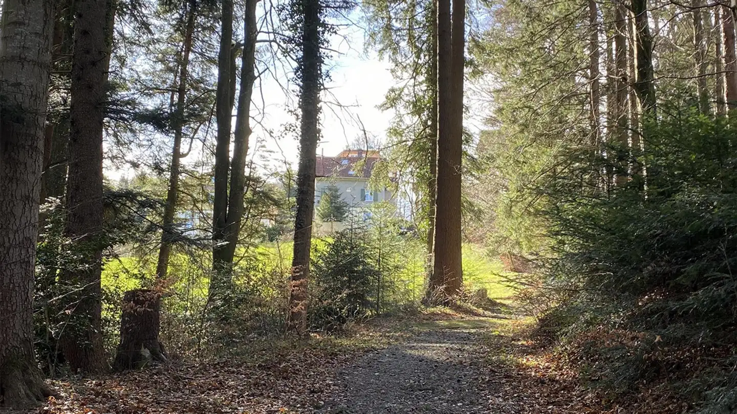 Loft mieten - Platz 221, 9428 Walzenhausen - Foto 3