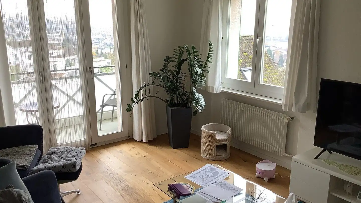 Appartamento in affitto - Schwändiweg 6, 5313 Klingnau - Photo 3