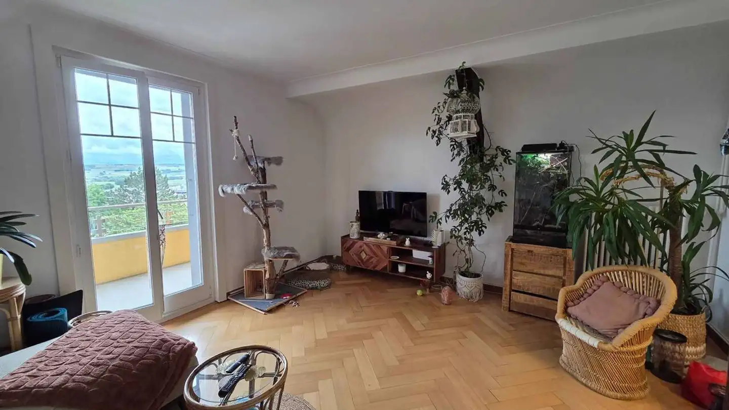 Appartamento in affitto - 1350 Orbe