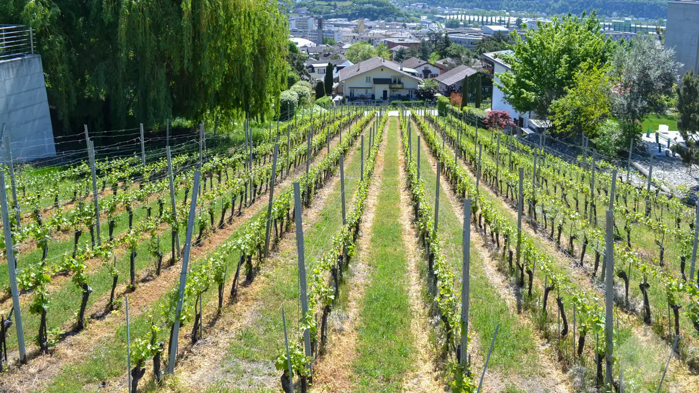 Constructible plot for sale - Sierre, 3960 Sierre