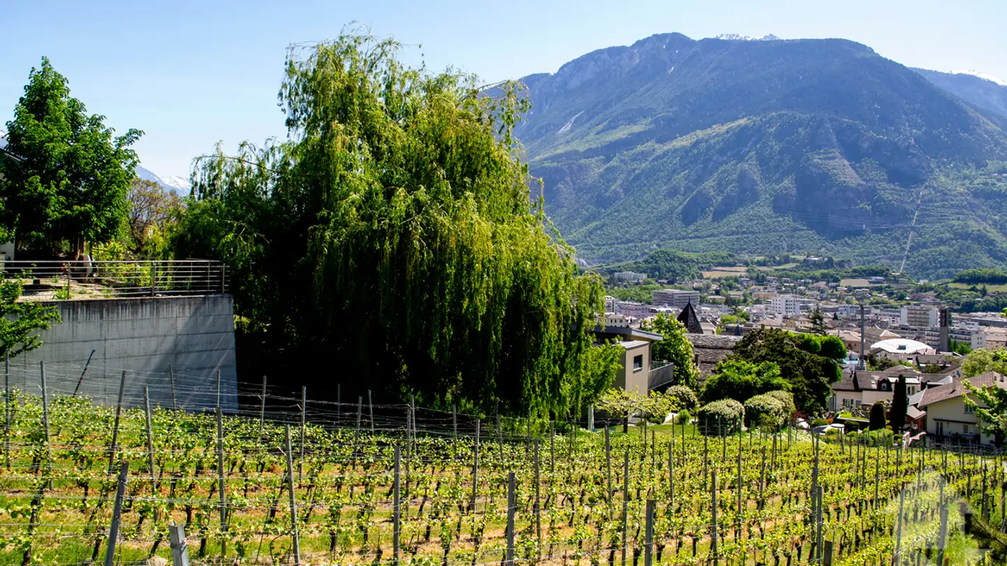 Constructible plot for sale - Sierre, 3960 Sierre - Photo 3