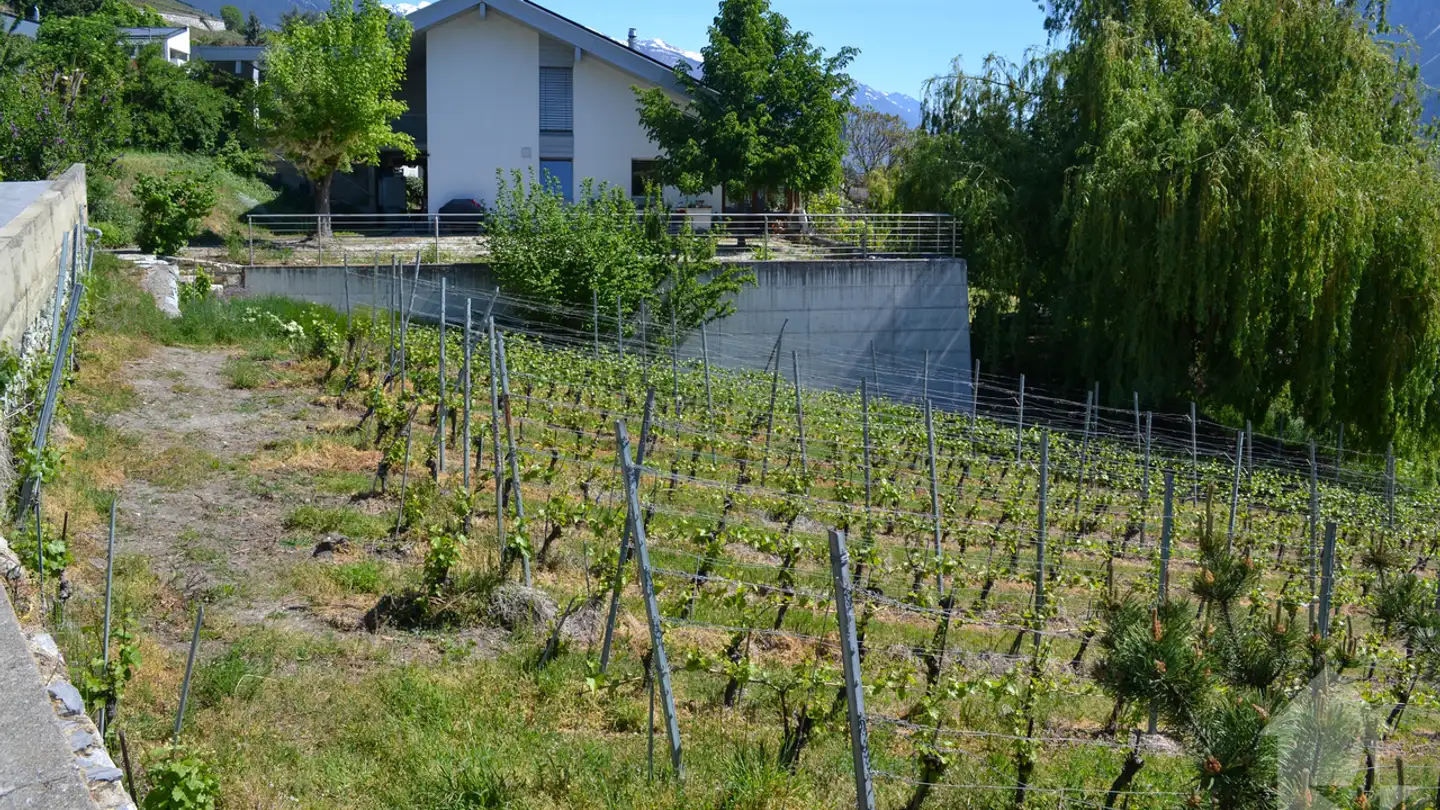 Constructible plot for sale - Sierre, 3960 Sierre - Photo 4