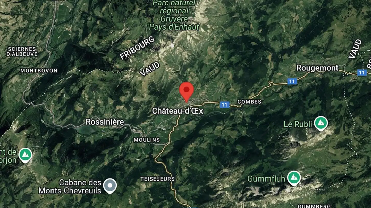 Appartamento in vendita - 1660 Château-d'Oex - Photo 3