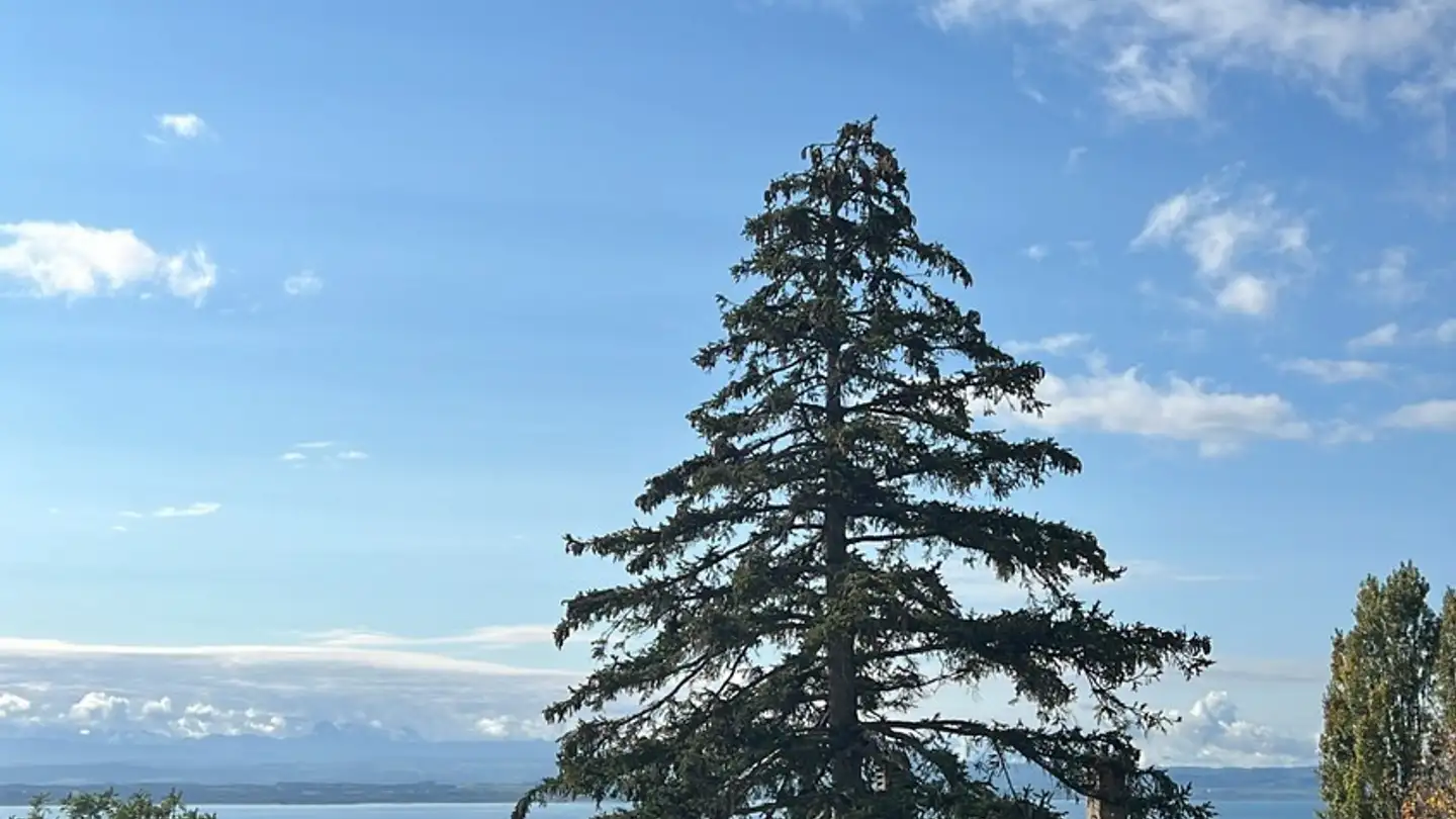 Apartment for rent - 2034 Peseux - Photo 3