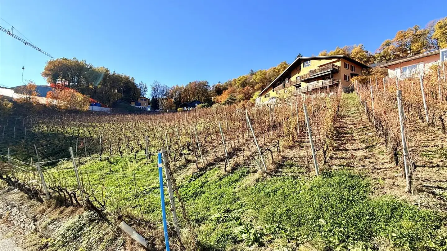 Terreno edificabile in vendita - Chemin Du Vignoble, 1971 Grimisuat - Photo 3
