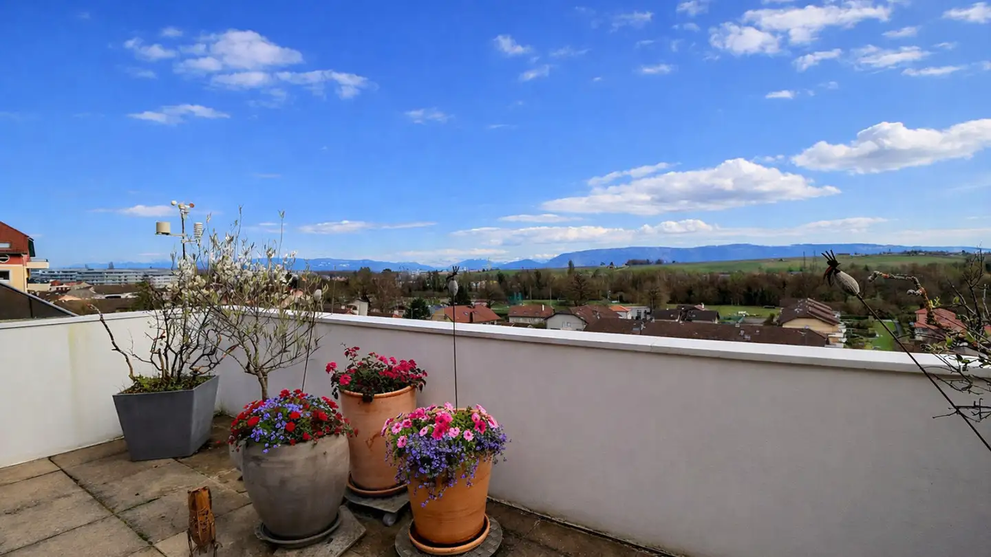 Apartment for sale - Route De Meyrin, 1217 Meyrin - Photo 4