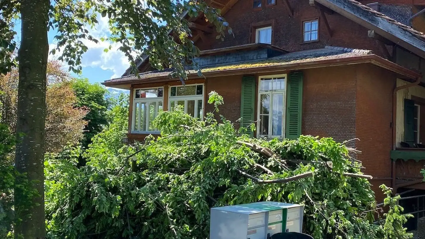 Fattoria in affitto - Haldenweg 15g, 3626 Hünibach