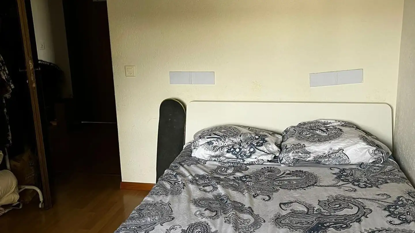 Chambre à louer - Austrasse 43, 8045 Zürich - Photo 4