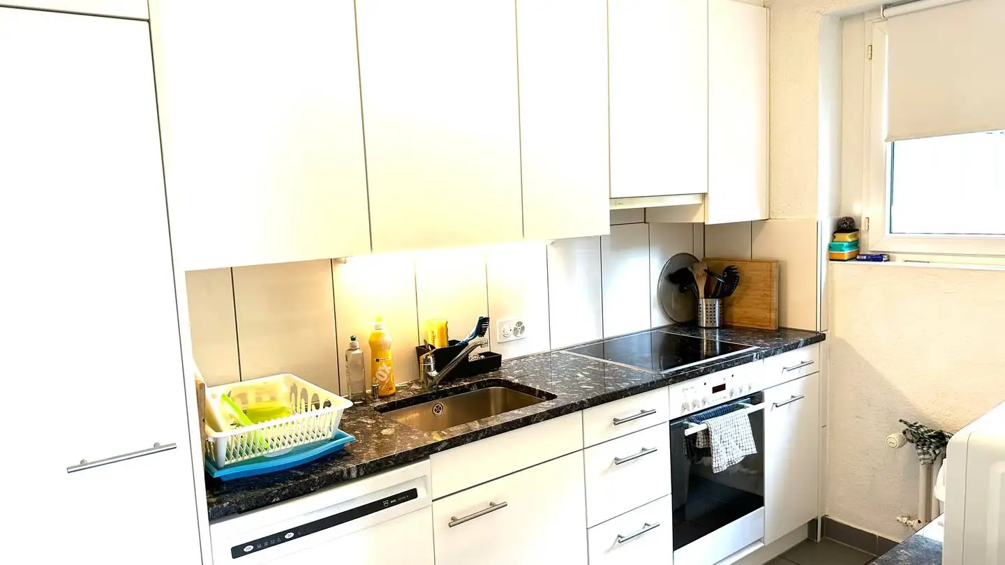 Chambre à louer - Am Oeschbrig 23, 8053 Zürich - Photo 2