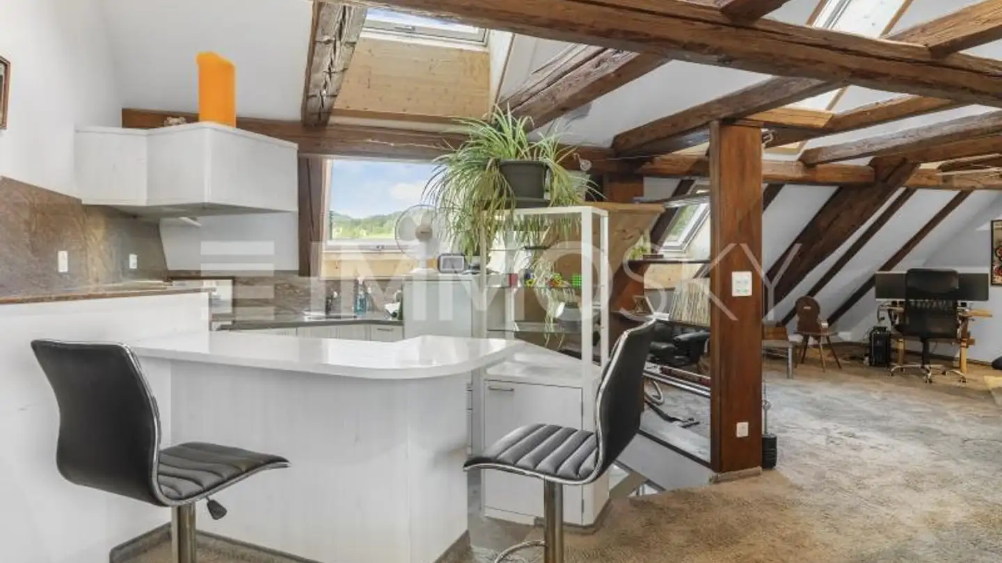 Single house for sale - 8340 Hinwil - Photo 4