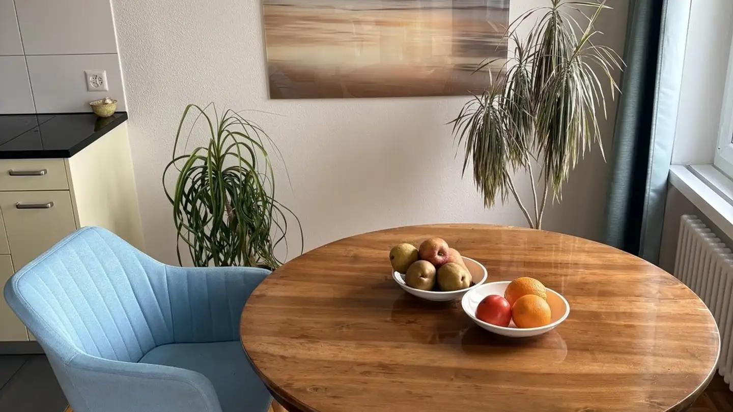 Möblierte Wohnung mieten - 8820 Wädenswil - Foto 2