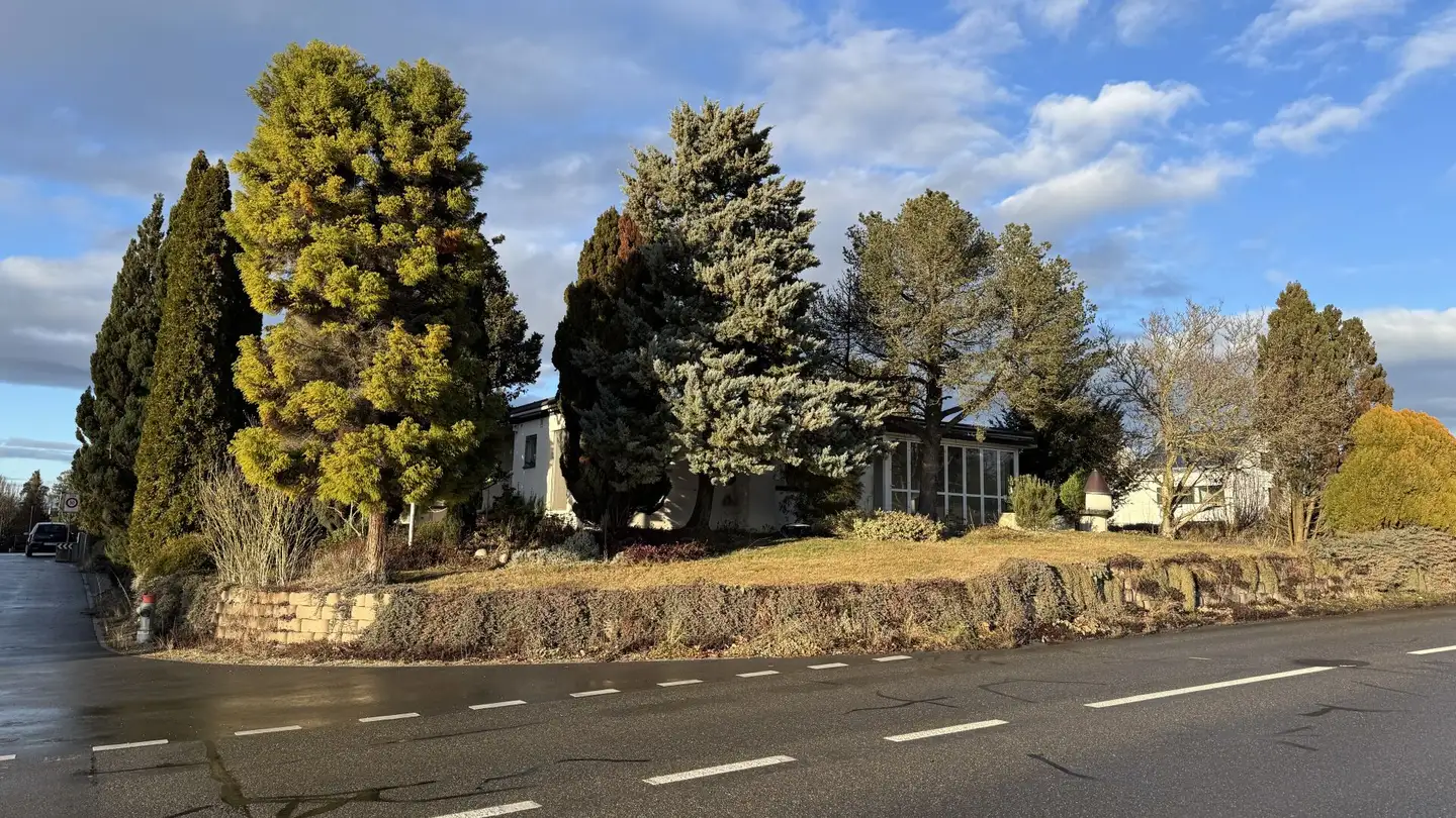 Einfamilienhaus kaufen - Im Rötelimoos, 8500 Frauenfeld - Foto 3