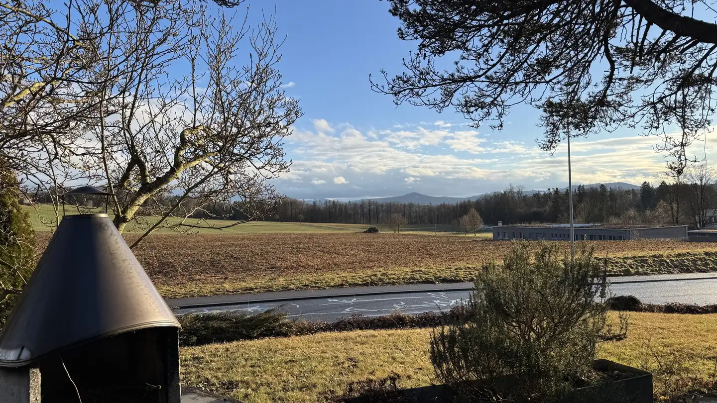 Einfamilienhaus kaufen - Im Rötelimoos, 8500 Frauenfeld - Foto 4