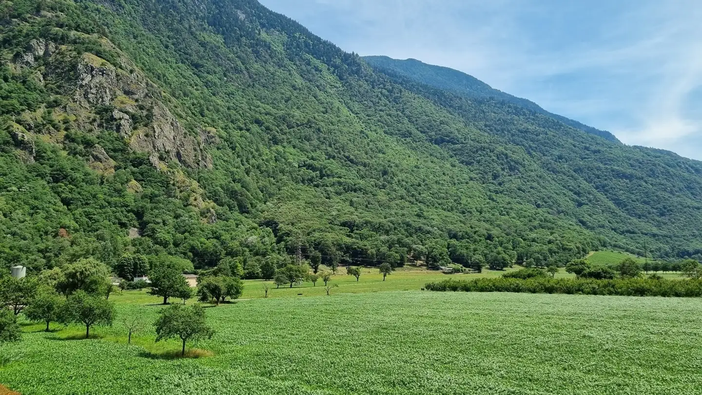 Appartamento in affitto - Route D'outre-Rhône 20, 1903 Collonges - Photo 3