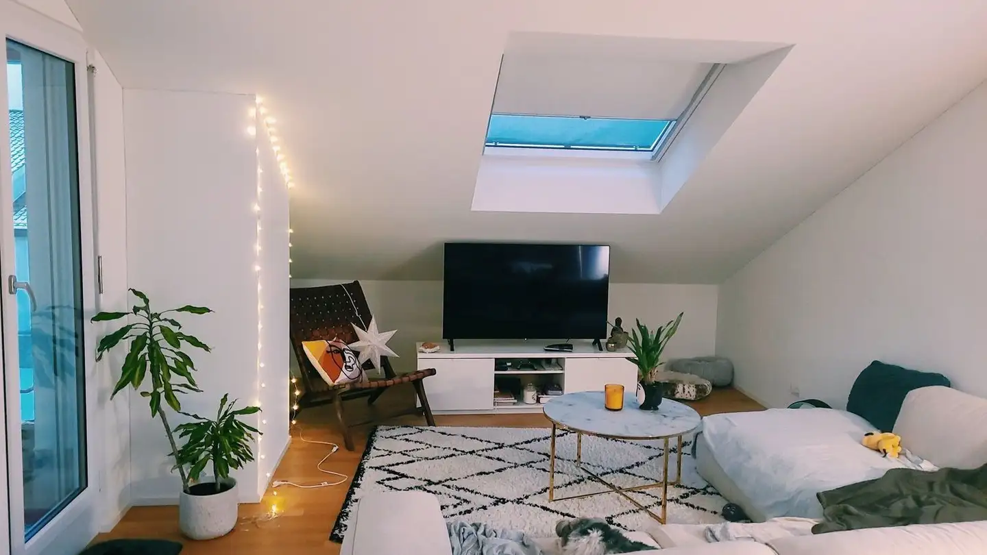 Penthouse for rent - Alte Hedingerstrasse 33, 8910 Affoltern am Albis - Photo 2